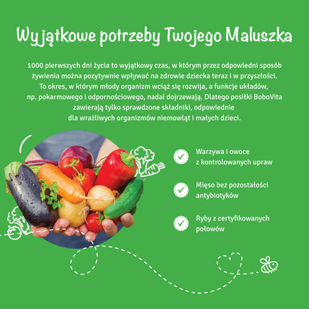 BOBOVITA Kaszka mleczno-ryż truskawka, 230g